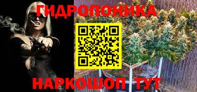 ПСИЛОЦИБИНОВЫЕ ГРИБЫ Бузулук