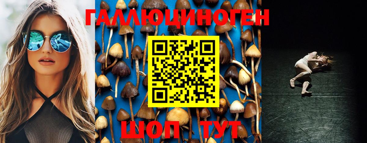 Галлюциногенные грибы Psilocybine cubensis Карасук