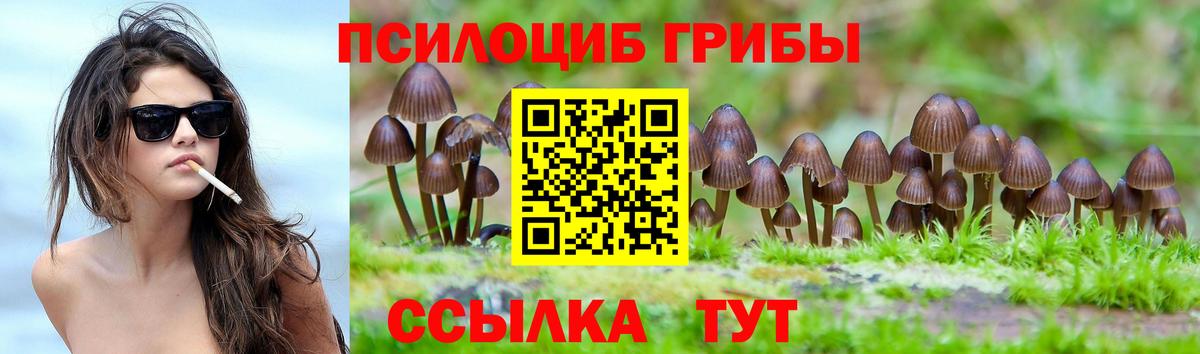 что такое наркотик  Вход с VPN  Карасук  Галлюциногенные грибы Magic Shrooms  Псилоцибиновые грибы мицелий 